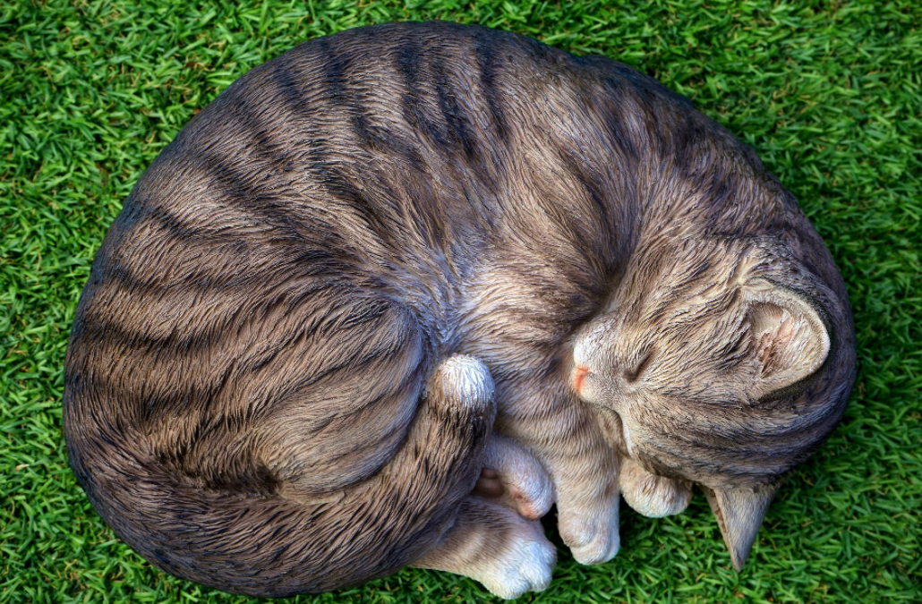 pure sleep cat nap